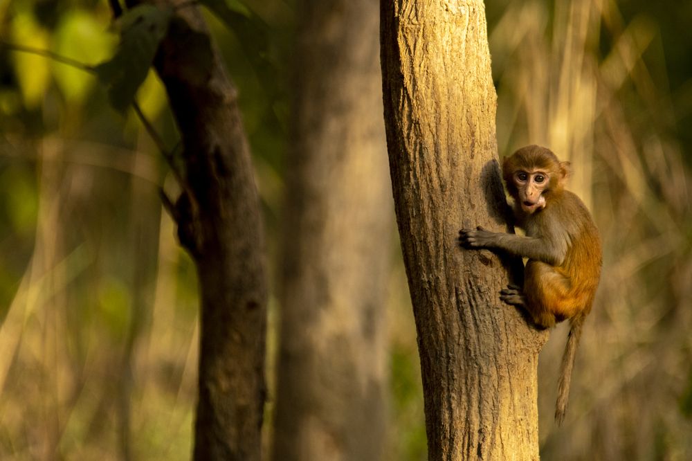Photograph by Nabarun Majumdar