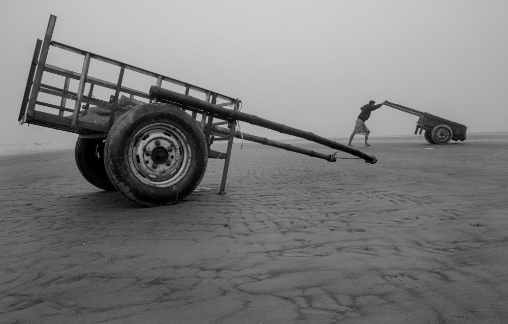 Фотография автора Ritwik Ray