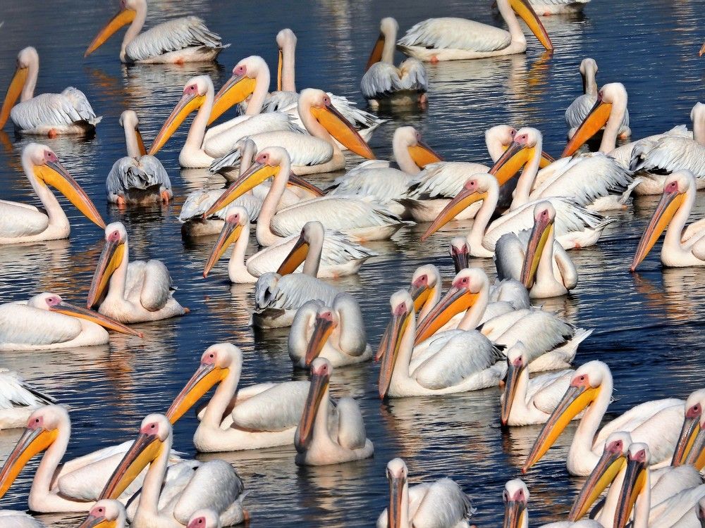 Photograph by Tamir Mor