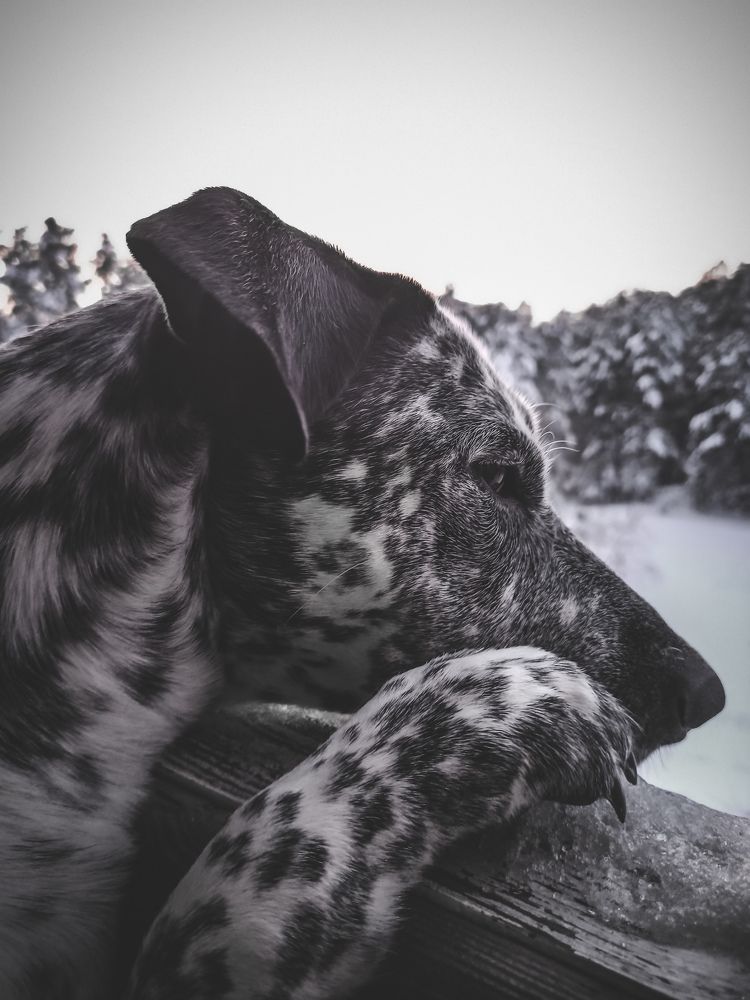 Photograph by Анастасия