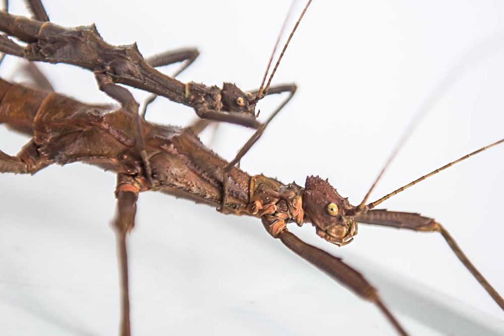 Photograph by Ирина Савенко