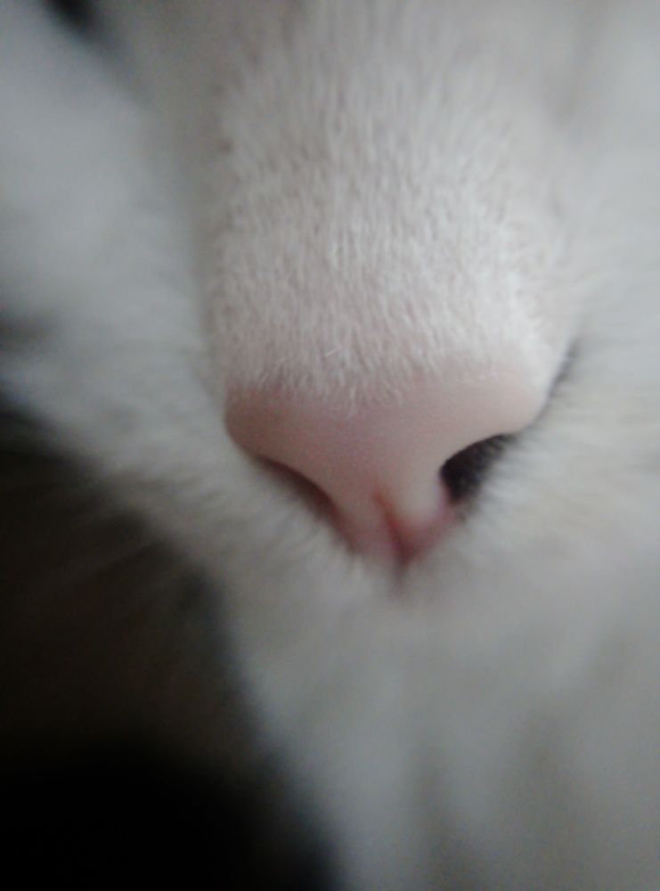 Photograph by Наталия Глущенко