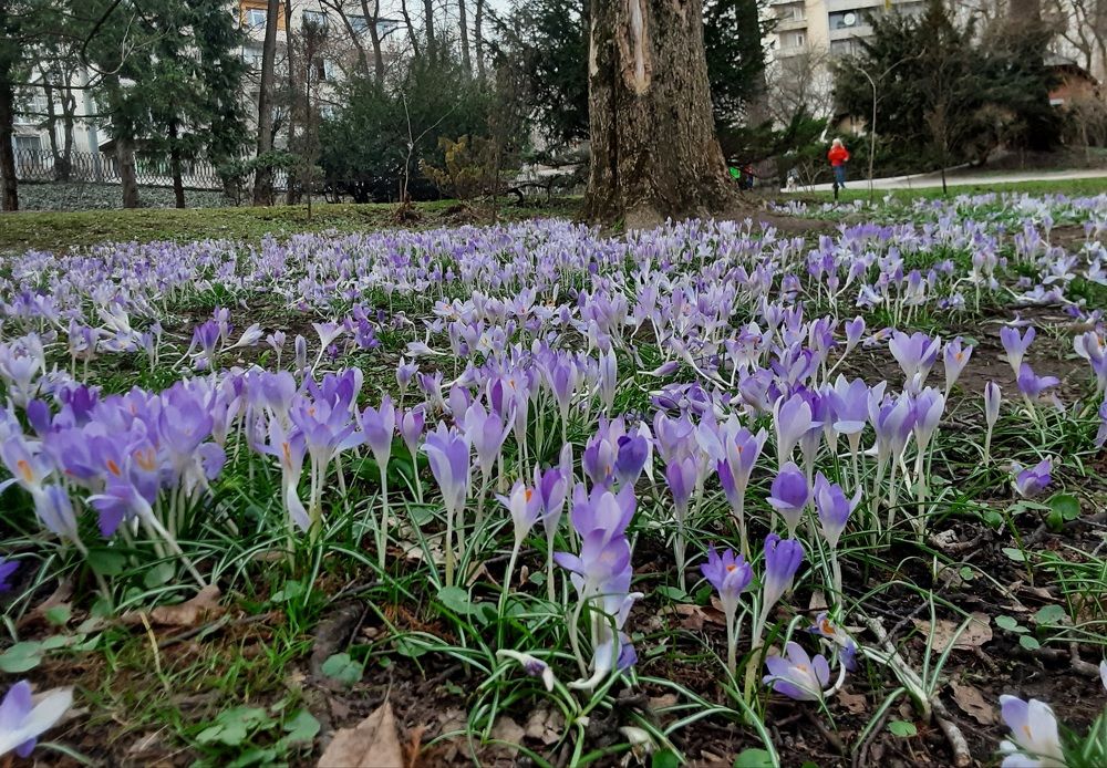 Photograph by Елена Шерман