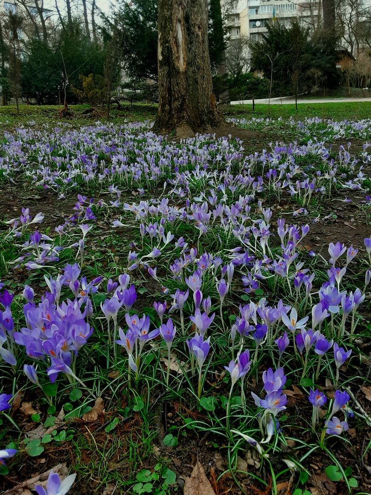 Photograph by Елена Шерман