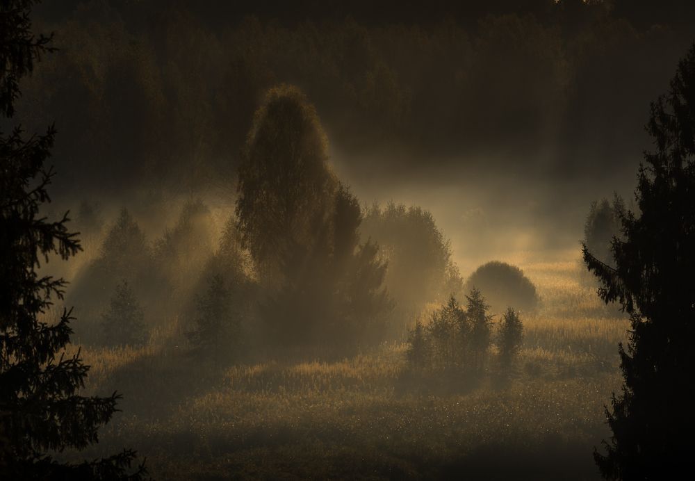 Photograph by Роман Фабричный