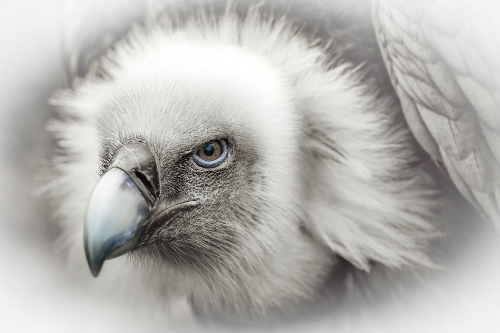 Photograph by Jesus Frias