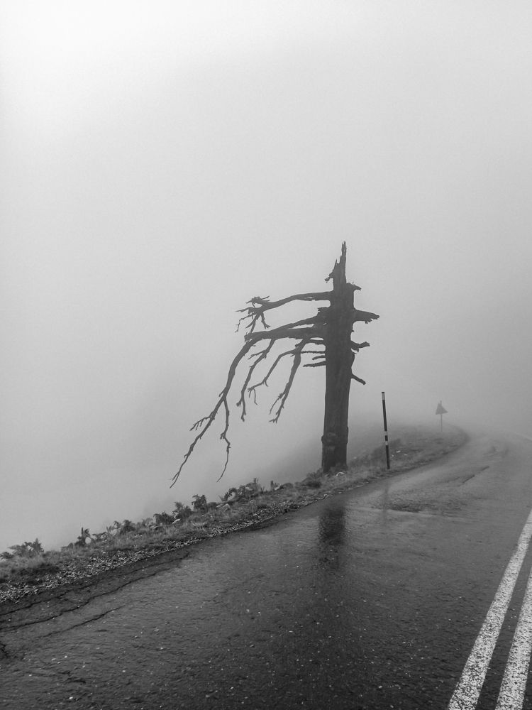 Photograph by Nikos Karatolos