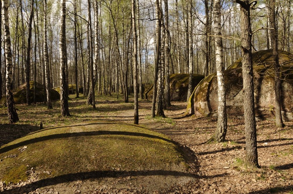 Photograph by иван антоненко