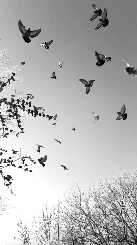 Photograph by Оксана Ходжаева