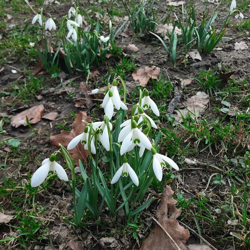 Photograph by Елена Шерман