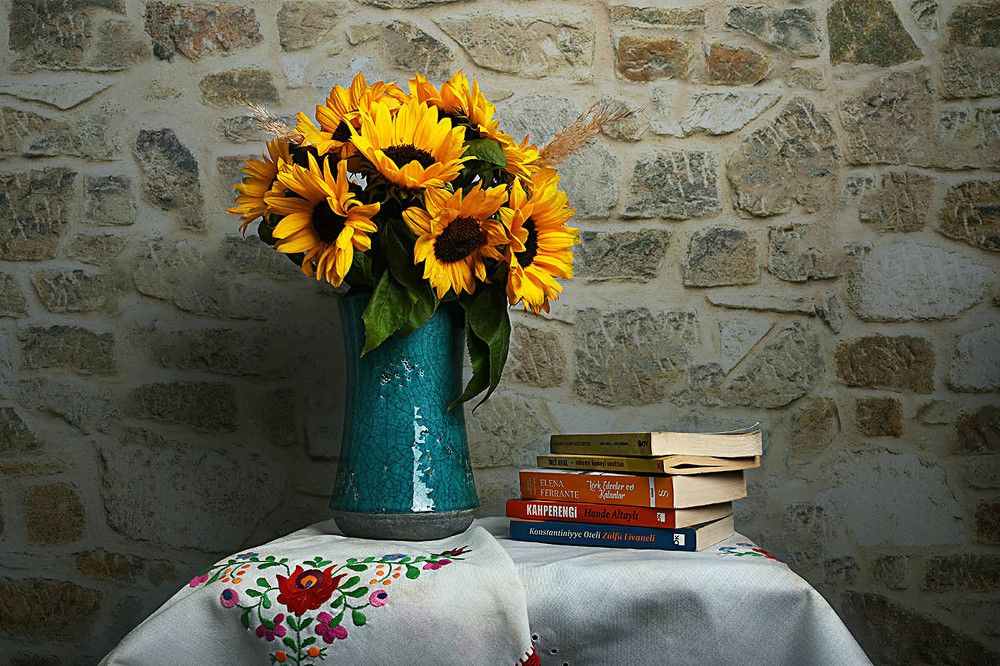 Фотография автора AYLIN EROZCAN