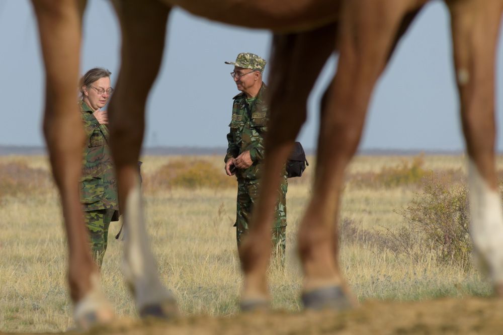 Photograph by Светлана Артюшина