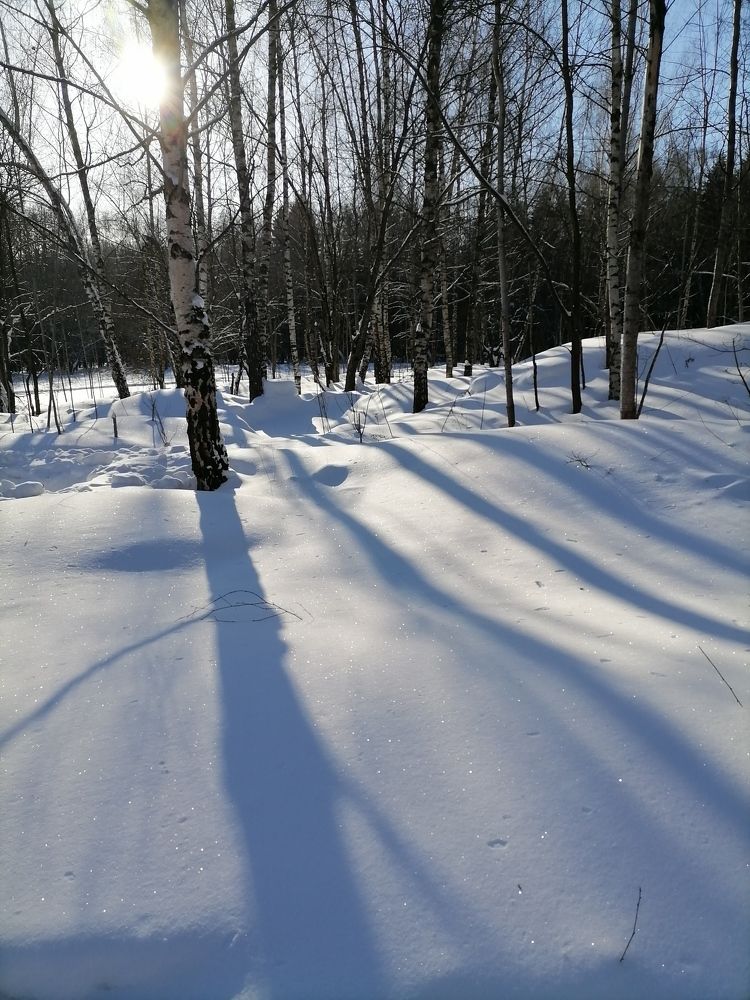 Photo #6000921