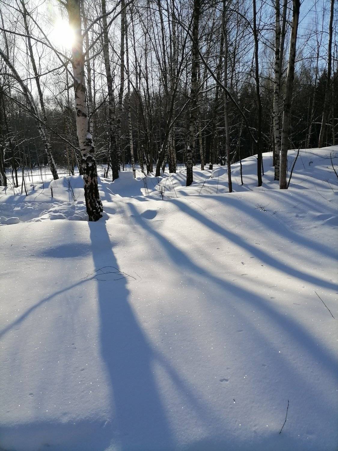 Photo #6000921