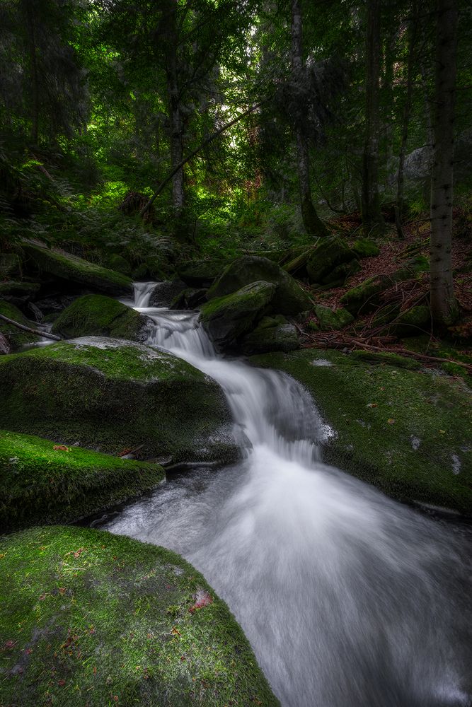 Фотография автора Stanislav Yendrek