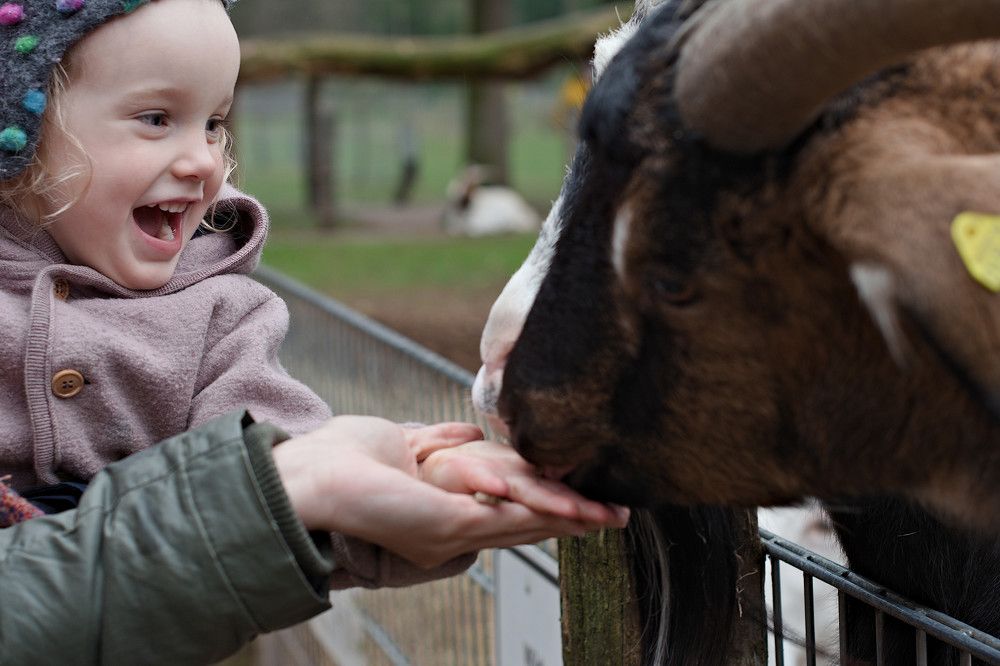 Photograph by Marina Weiland