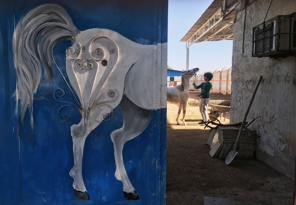 Photograph by Hesam Ghalavand