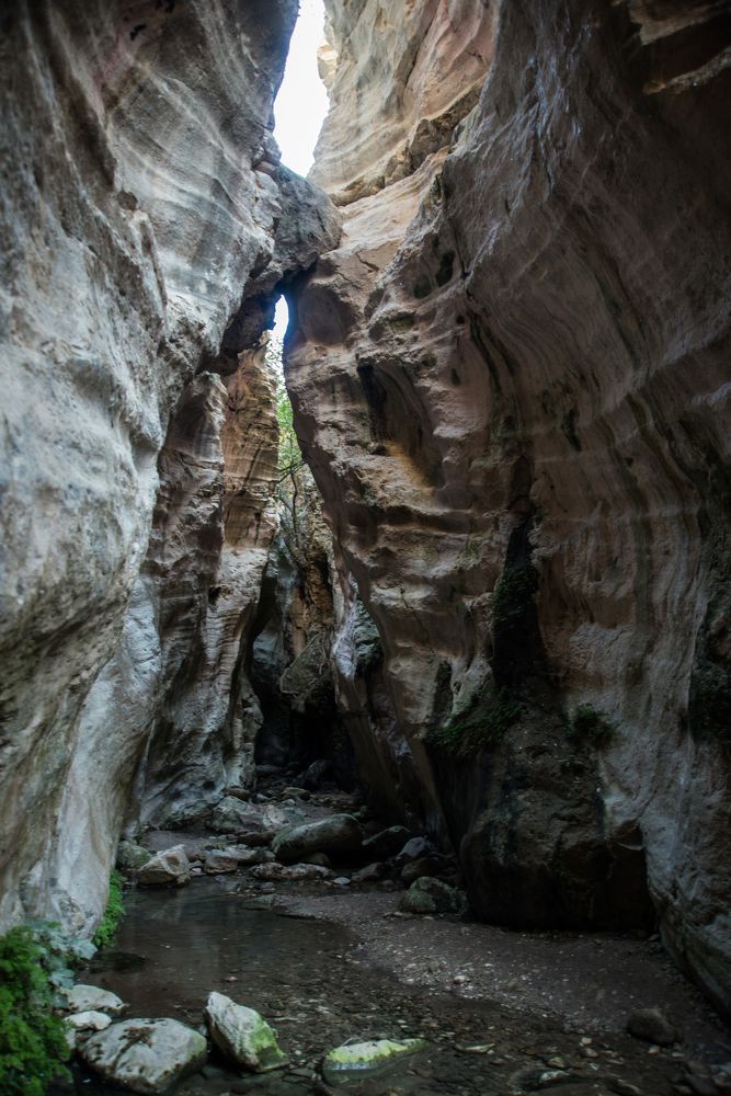 Фотография автора EYUP HÜDAVERDİOĞLU