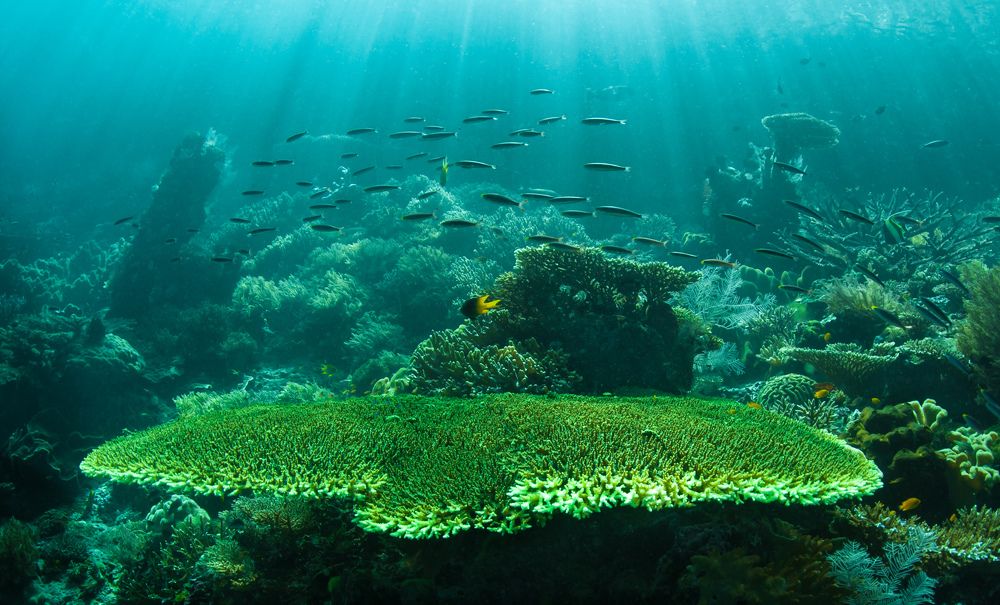 Фотография автора Виктор Чистов