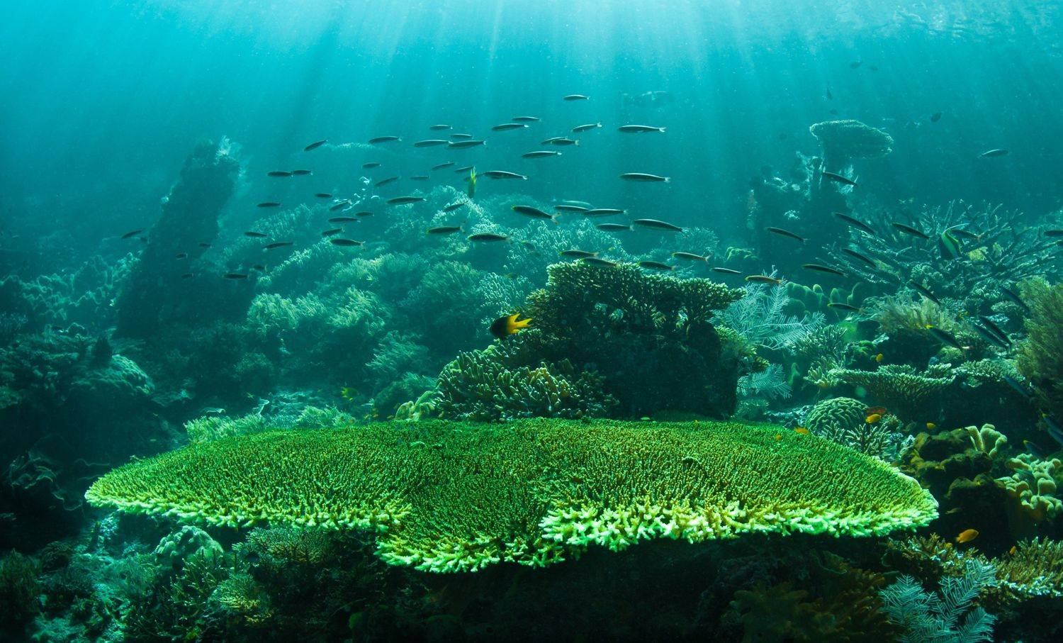 Фотография #6001018