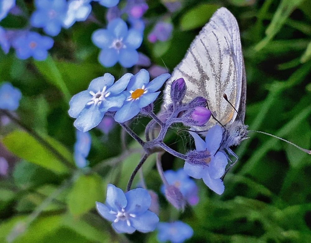 Photograph by Александр Бакин