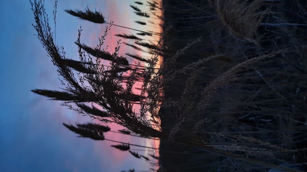 Photograph by Полина Погоняйло