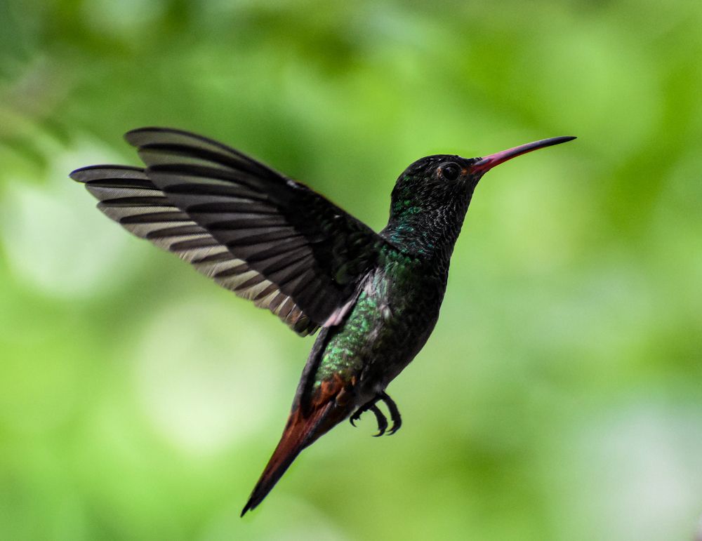 Photograph by Lina Hernández