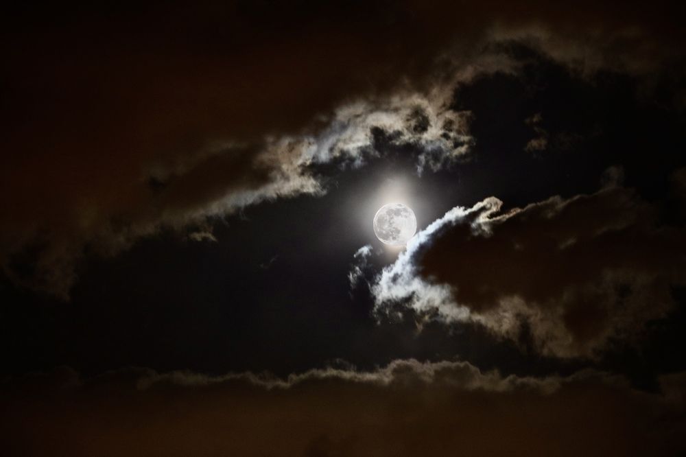 Photograph by Софья
