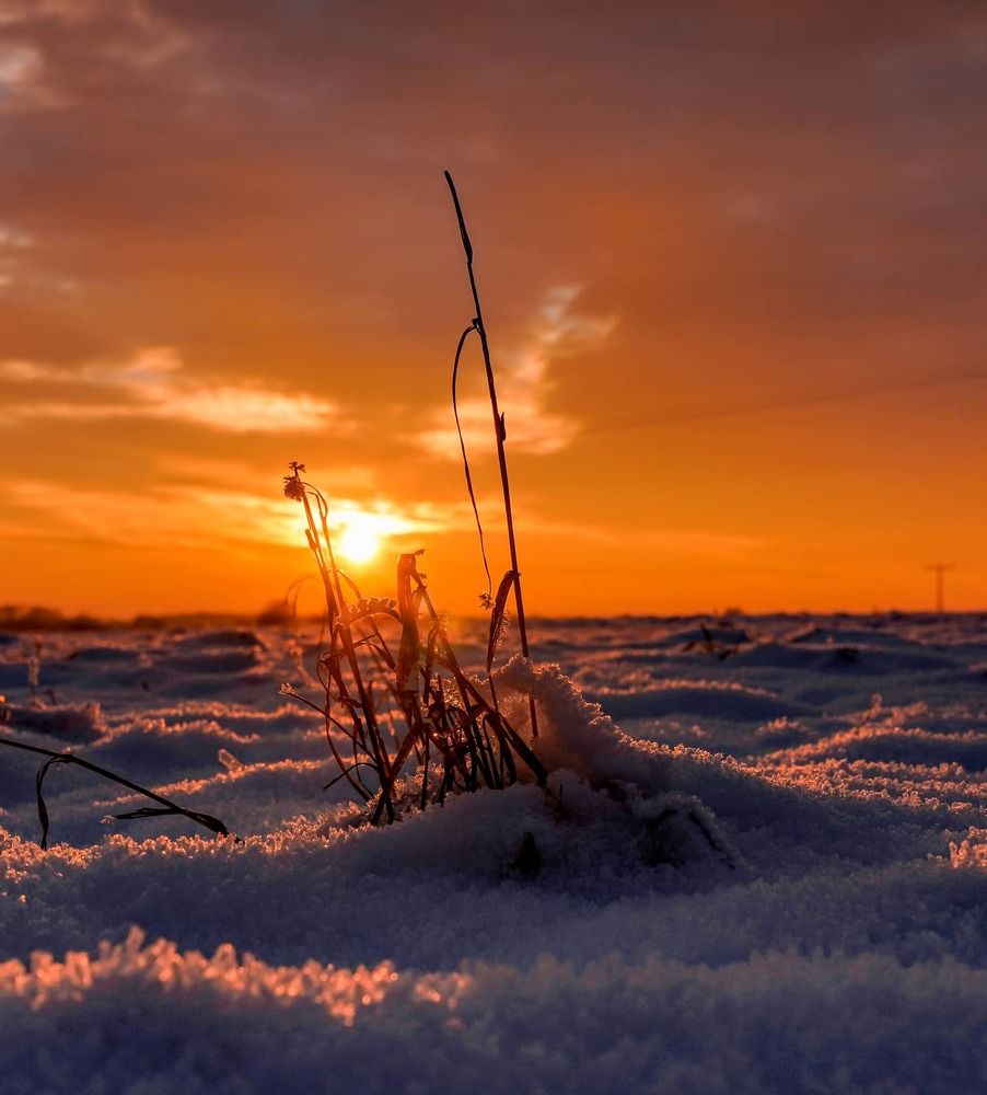 Photograph by Reinhold Seibel