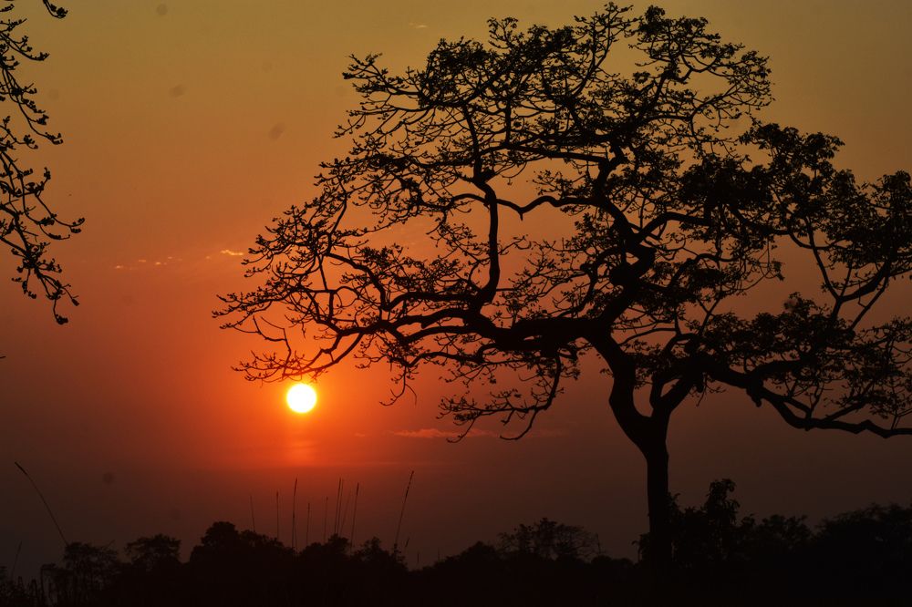 Фотография автора Prithul Das