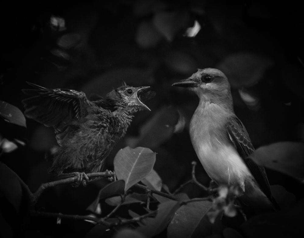 Photograph by Lina Hernández