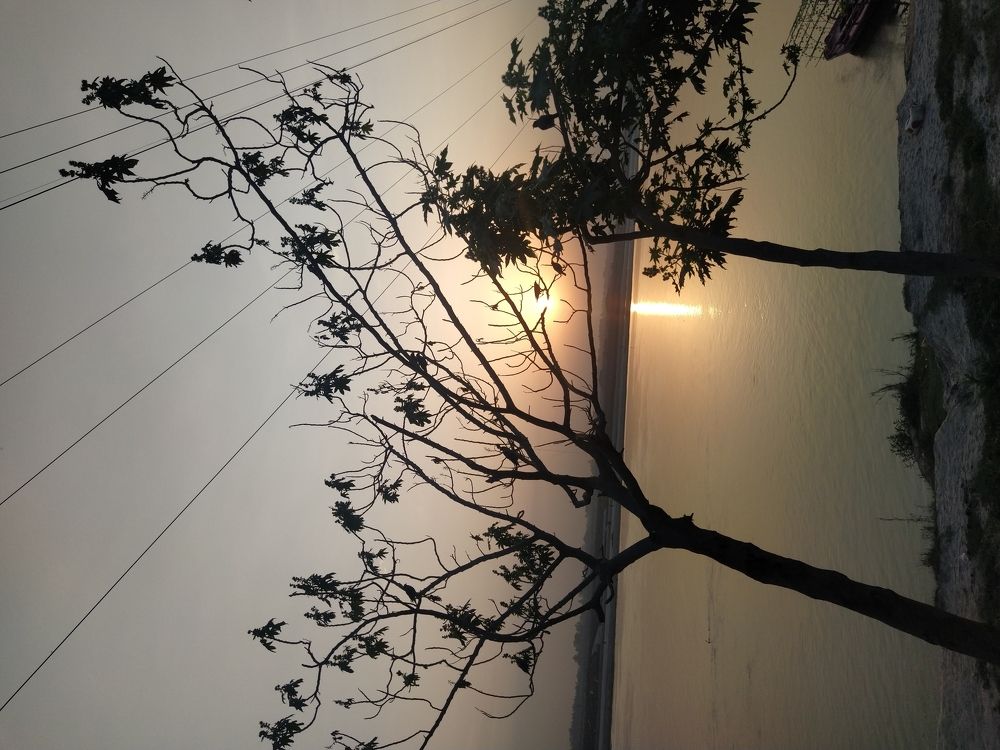 Photograph by Anil Sindoor