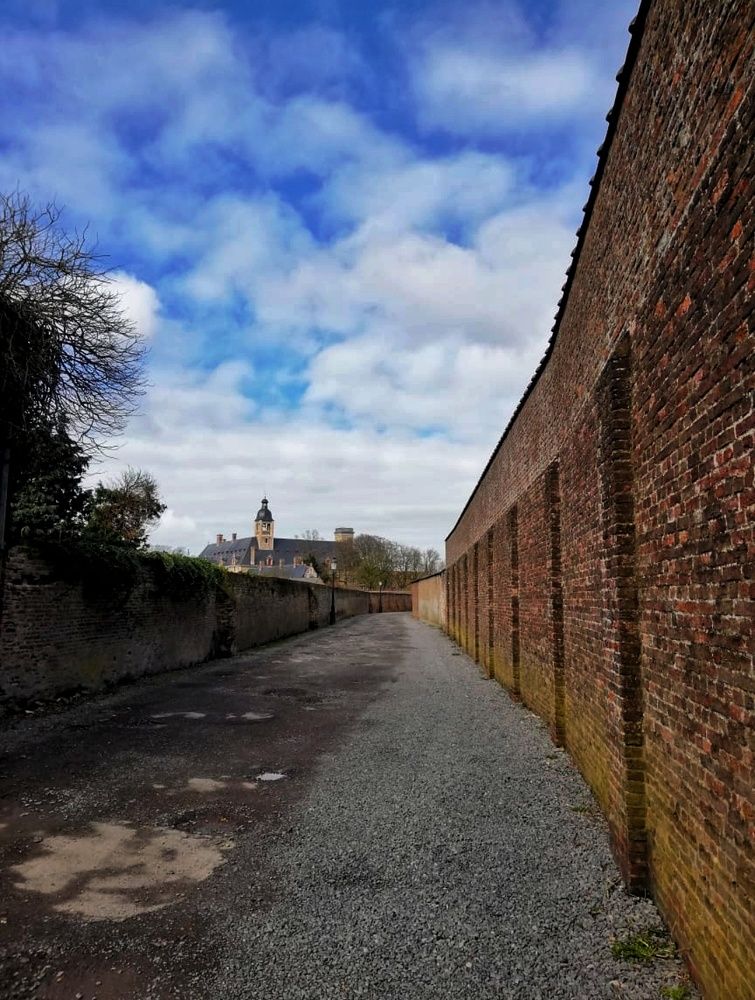 Photograph by Wilson baldion soler