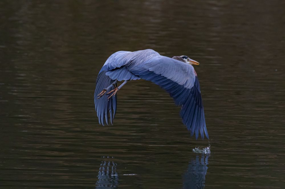 Photograph by Jim Murphy