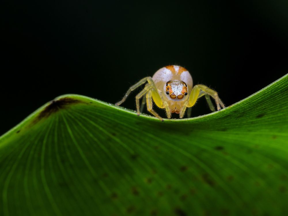 Photograph by Bidyut Kalita