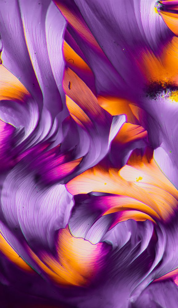 B alanine l glutamine combination