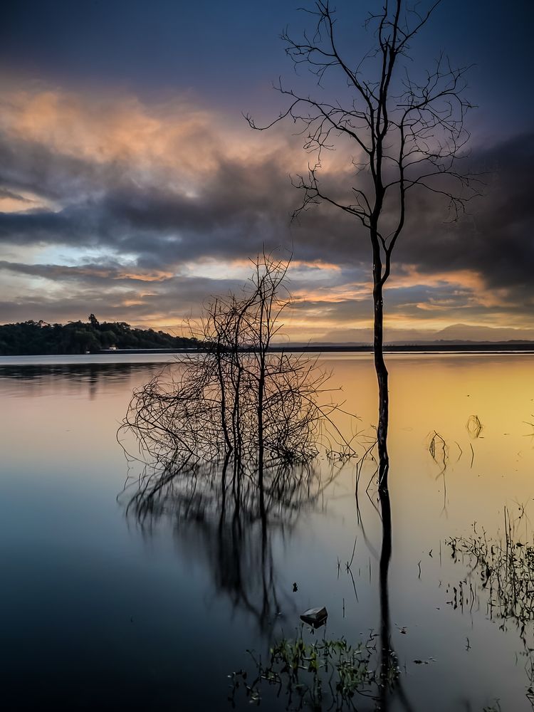 Photograph by Shrideep Nanal