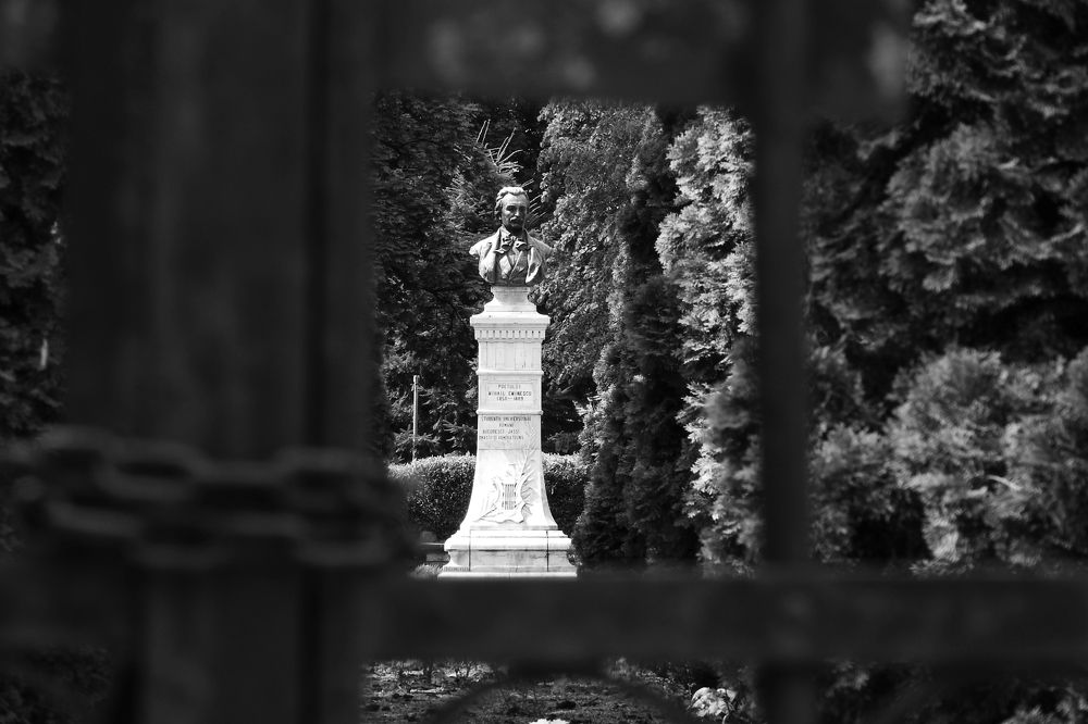 Photograph by Tudor Honceriu