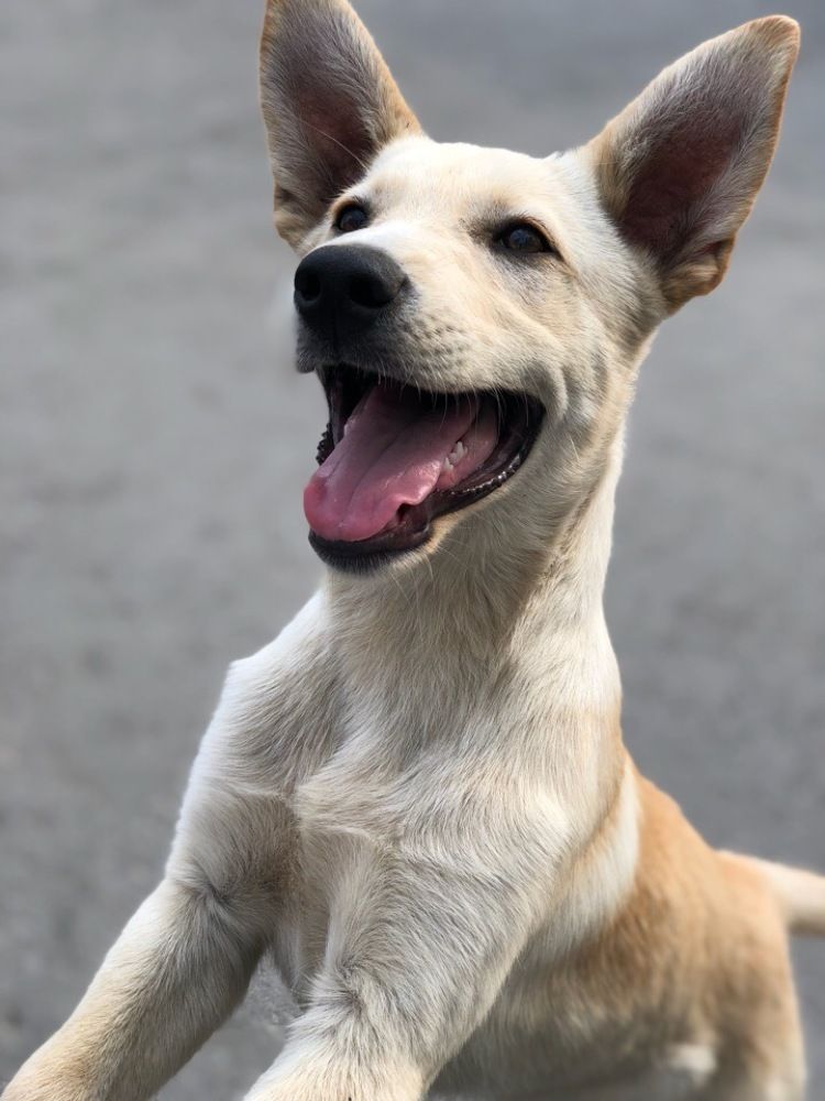 Photograph by Юрий Валуев