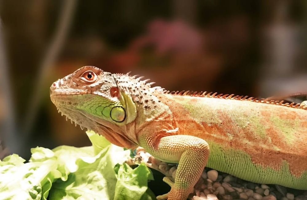 Photograph by Юрий Валуев