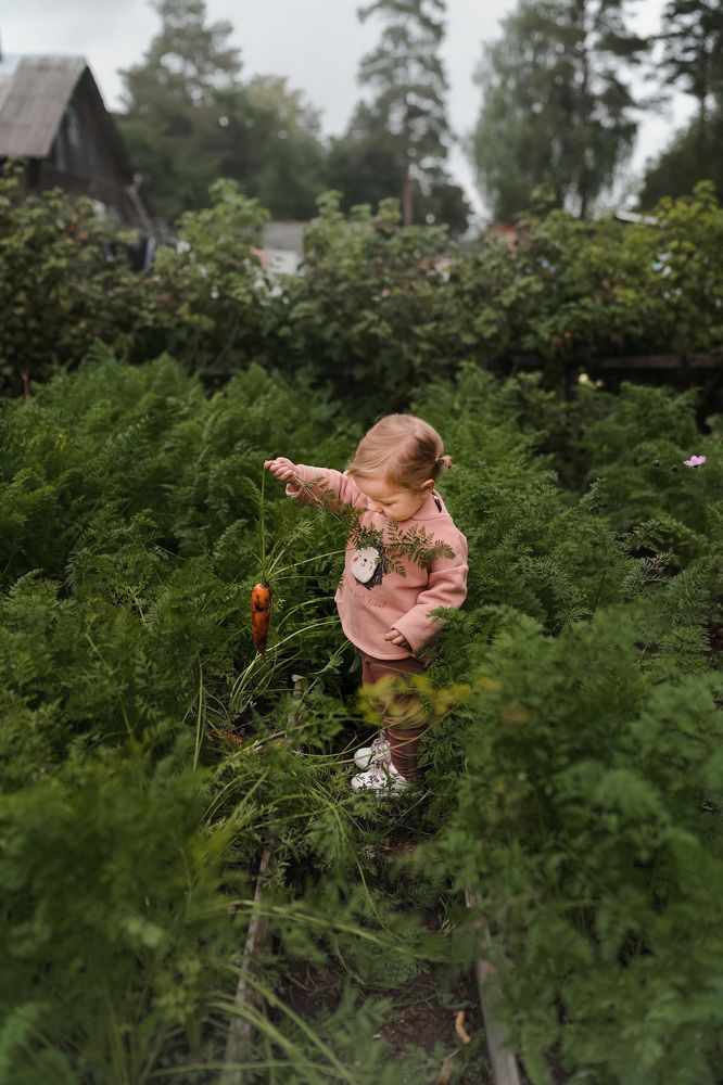 Photograph by Эльвира лямчик