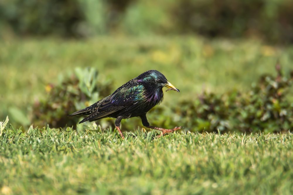 Photograph by seyedmohamad tabrizi