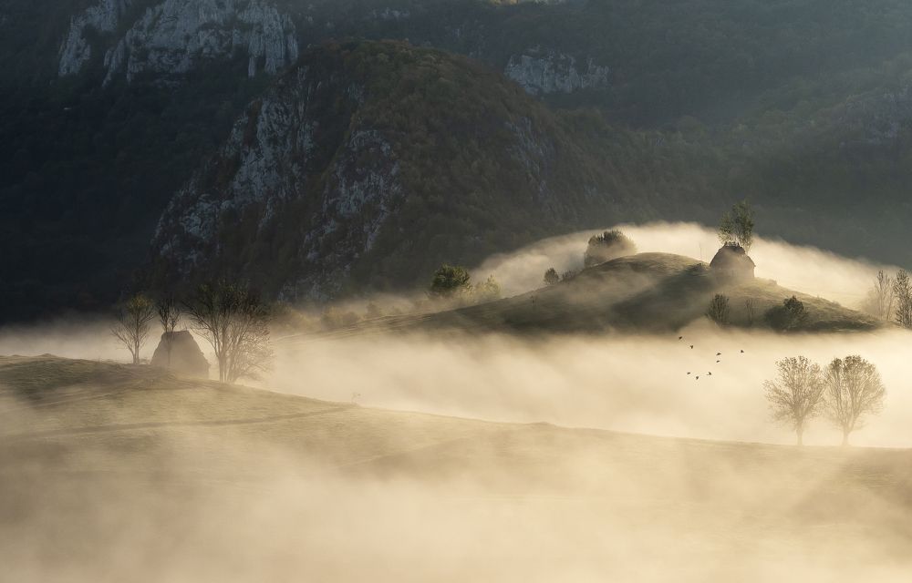 The silence of the morning III