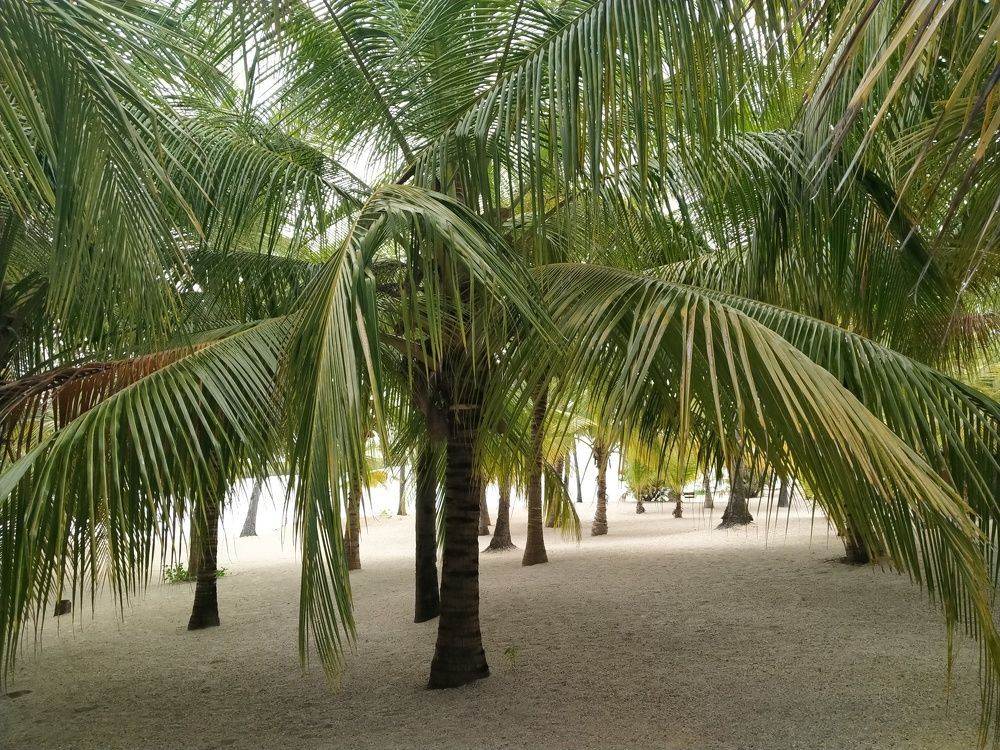 Photograph by Khadija Juma