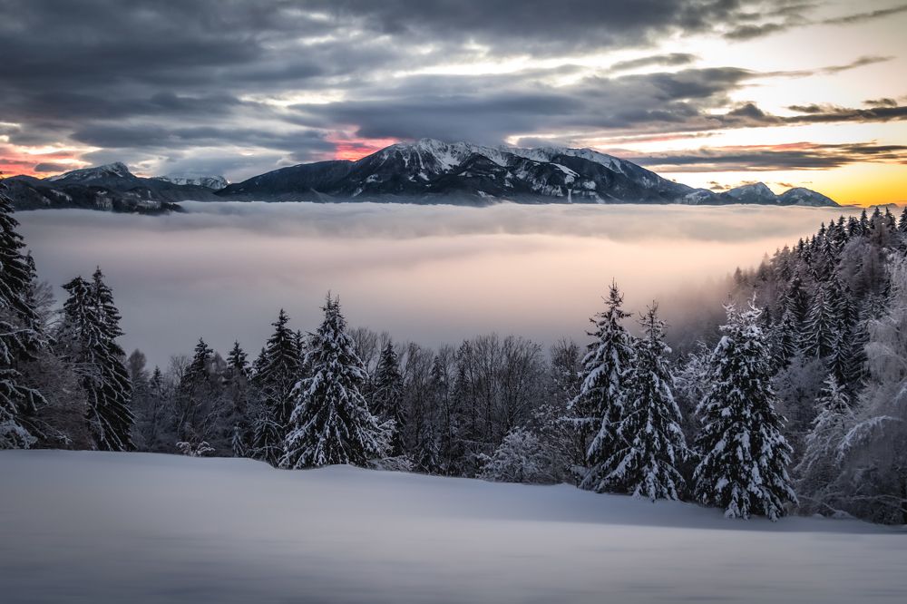 Photograph by Katja Golob