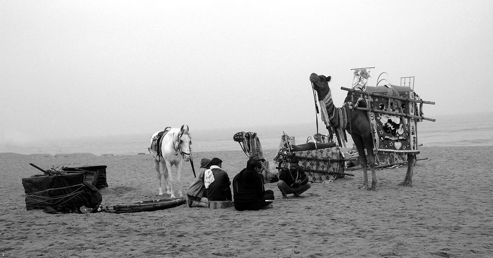 Photograph by Gopal Mondal