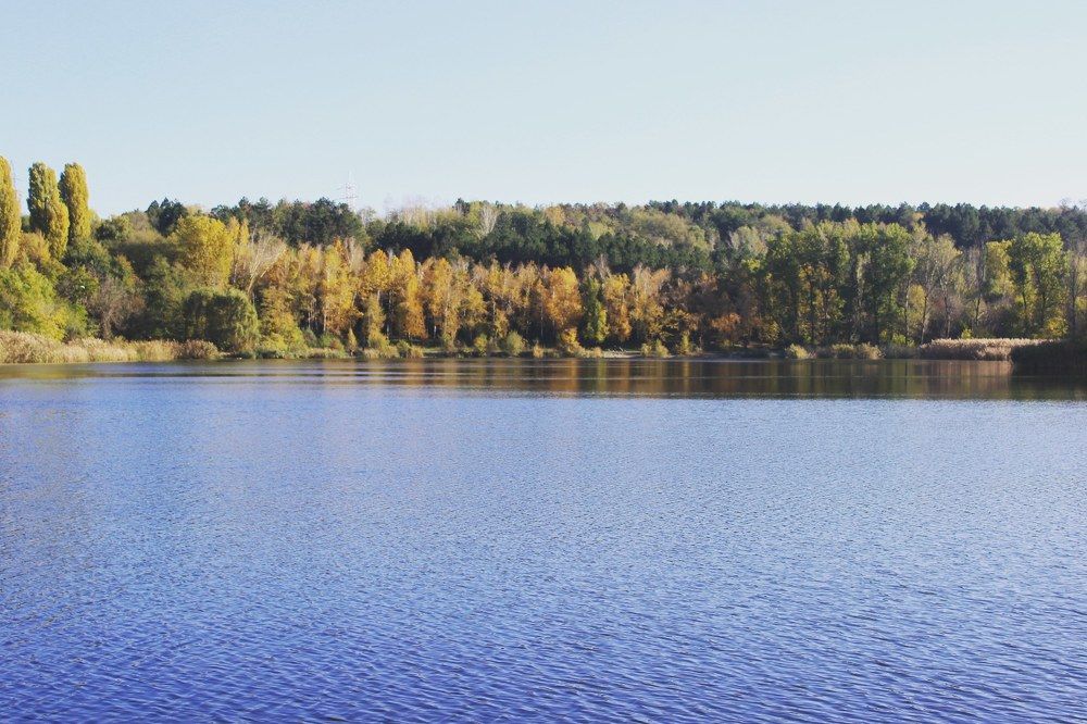 Photograph by iulia falo