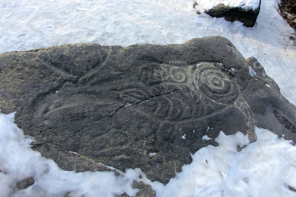 Photograph by Svetlana Victorovna Kibyakova