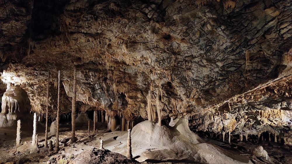 Photograph by Alena Gurenchuk