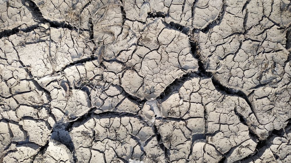 Photograph by Alena Gurenchuk